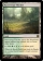 Razorverge Thicket Magic Card Image