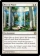 Magic Card Image