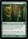 Seek the Horizon Magic Card Image