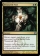 Magic Card Image