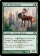 Magic Card Image