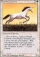 Pearled Unicorn Magic Card Image