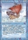 Pirate Ship Magic Card Image