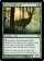 Magic Card Image