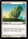 Magic Card Image
