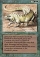 Magic Card Image