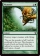 Magic Card Image