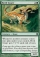 Magic Card Image