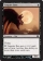 Vampire Bats Magic Card Image