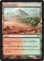 Shivan Oasis Magic Card Image