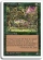 Magic Card Image