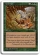 Overrun Magic Card Image