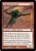 Magic Card Image