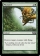 Magic Card Image