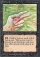 Magic Card Image