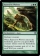 Raised by Wolves Magic Card Image