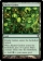 Khalni Garden Magic Card Image