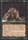Magic Card Image