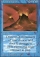 Magic Card Image