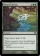 Magic Card Image