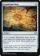 Magic Card Image