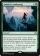 Animist's Awakening Magic Card Image