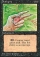 Magic Card Image