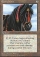 Ebony Horse Magic Card Image