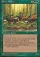 Elven Riders Magic Card Image