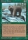 Magic Card Image