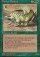 Magic Card Image