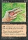 Magic Card Image