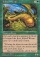 Magic Card Image