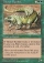 Magic Card Image