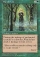 Magic Card Image