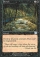 Perish Magic Card Image