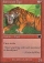 Sabretooth Tiger Magic Card Image