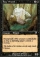 Bog Wraith Magic Card Image