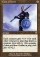 Coat of Arms Magic Card Image