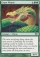 Magic Card Image