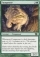 Magic Card Image