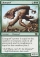 Magic Card Image