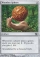 Wooden Sphere Magic Card Image