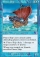 Pirate Ship Magic Card Image