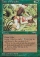 Taste of Paradise Magic Card Image