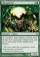Lifespinner Magic Card Image