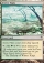 Arctic Flats Magic Card Image