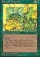 Magic Card Image