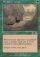 Magic Card Image