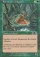 Magic Card Image